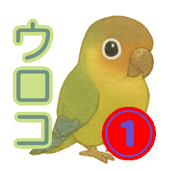 [LINEスタンプ] ウロコインコ界隈で流行りのスタンプその壱