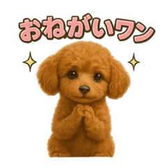 [LINEスタンプ] 子イヌverトイプードル