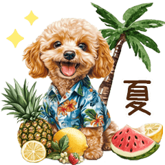 [LINEスタンプ] 夏だよ！トイプードルの夏スタンプ