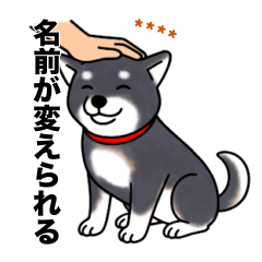 [LINEスタンプ] 名前入り黒柴