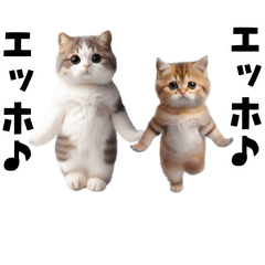 [LINEスタンプ] エッホエッホネコたちにゃんだふる～