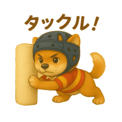 [LINEスタンプ] ラグビー大好き柴犬コタロウのスタンプ