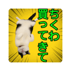 [LINEスタンプ] こまちゃん prototype ver.0.2