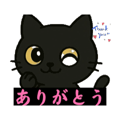 [LINEスタンプ] 黒いネコです