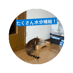 [LINEスタンプ] ユラのおかあさんがつくった動くスタンプ