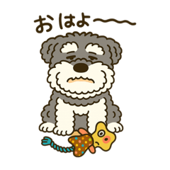 [LINEスタンプ] シュナウザーの日常.もさもさシュナウザー.
