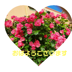 [LINEスタンプ] カラオケ光ちゃん