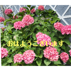 [LINEスタンプ] ご挨拶ですよろしく