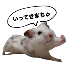 [LINEスタンプ] ☆しらすとその仲間たち☆