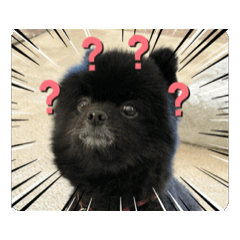 [LINEスタンプ] KumaPunku