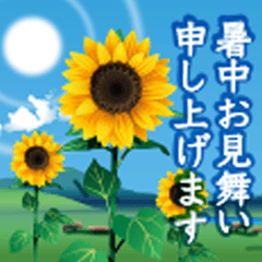 [LINEスタンプ] 【飛び出し動く 暑中見舞い 夏 サマー】
