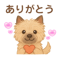 [LINEスタンプ] ケアンテリア｜わんこの毎日