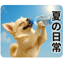[LINEスタンプ] ずっと使える♡夏のチワワ