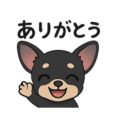 [LINEスタンプ] チワワさんあいさつスタンプ