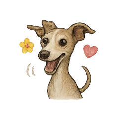 [LINEスタンプ] 犬 イタリアングレーハウンド イタグレ