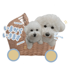 [LINEスタンプ] hanagoma◡̈