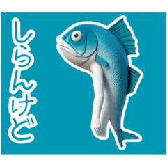 [LINEスタンプ] さかなくん①…………………