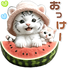 [LINEスタンプ] 夏 猛暑 酷暑♡ホワイトタイガーとネコ
