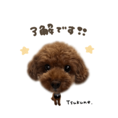 [LINEスタンプ] つくねくん☆deformation