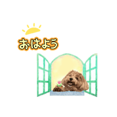 [LINEスタンプ] 幸せマルプー