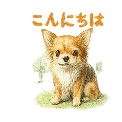 [LINEスタンプ] チワワ、chiwawa 3