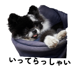 [LINEスタンプ] 球野丿スタンプ2