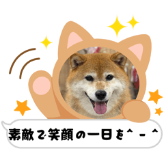[LINEスタンプ] ROROMI Commitment