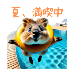 [LINEスタンプ] ハッピーアニマル_クオッカワラビー39夏