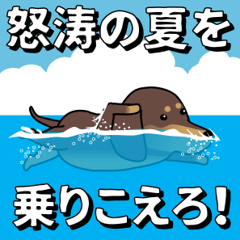 [LINEスタンプ] 新・激しく尻尾をふるダックス 夏