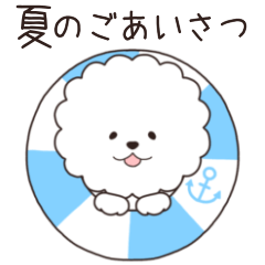 [LINEスタンプ] 『ビションフリーゼ』夏のごあいさつ