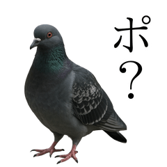 [LINEスタンプ] ネタ・爆笑＠「ポ」しか言えないハト