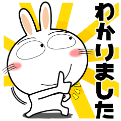[LINEスタンプ] うさぎサン★お買い物