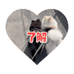 [LINEスタンプ] 動くけとじ