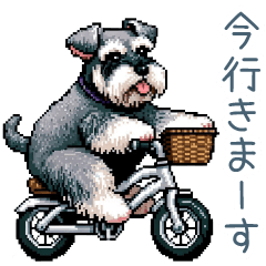 [LINEスタンプ] 毎日使えるシュナウザー【家族・連絡】