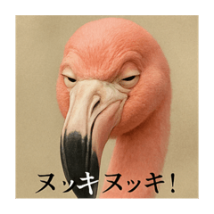 [LINEスタンプ] おふざけアニマル(鳥類)
