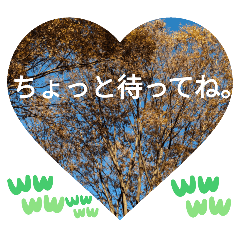 [LINEスタンプ] 自由の海で探したものは日常挨拶 日本語