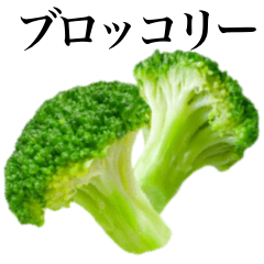 [LINEスタンプ] 【敬語】みずみずしい ブロッコリー