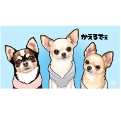 [LINEスタンプ] わが家のチビたち チワワ