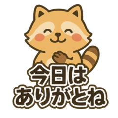 [LINEスタンプ] ほっこりアライグマのやさしい言葉