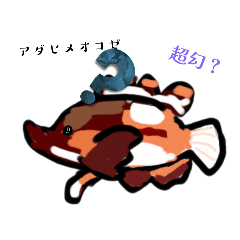 [LINEスタンプ] 魚スタンプ第14弾 ～珍しい魚編～