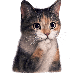 [LINEスタンプ] 少しリアルな三毛猫の日常会話