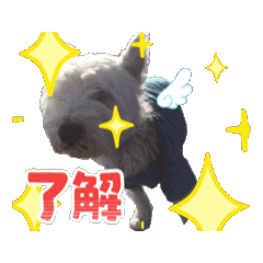 [LINEスタンプ] たーちゃん.chii