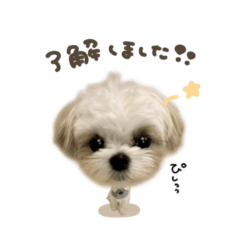 [LINEスタンプ] つむぎくん☆deformation