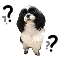 [LINEスタンプ] 白黒シーズーもぷ