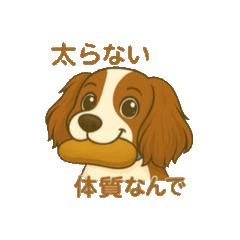 [LINEスタンプ] キャバリアレオのスタンプ
