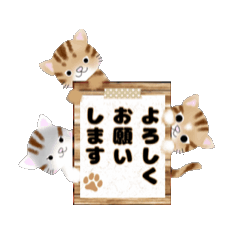 [LINEスタンプ] 動く！我が家のニャンズ