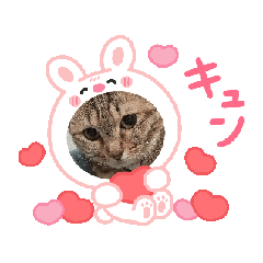 [LINEスタンプ] サバくんの日常3