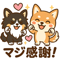 [LINEスタンプ] 内弁慶チワワのご挨拶『ありがとう』