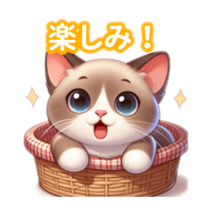 [LINEスタンプ] とにかくかわいい バーミーズ