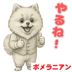 [LINEスタンプ] ポメラニアンの喜怒哀楽スタンプ Vol.1